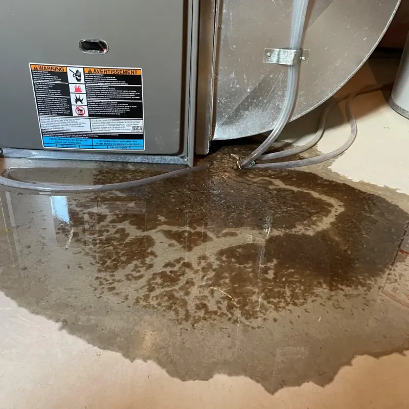 Appliance Leak Cleanup in Martinsville, IL
