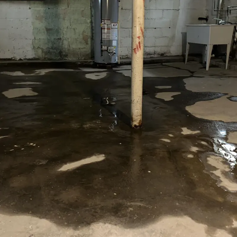 Emergency Water Extraction And Removal in Martinsville, IL